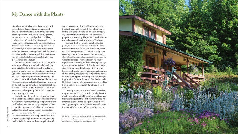 Healing Garden, The: Juliet Blankespoor